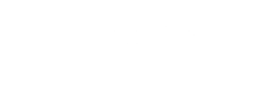 Mohammed Bin Rashid Innovation Fund MBRIF official recognition logo supporting Disrupt-X AI platform