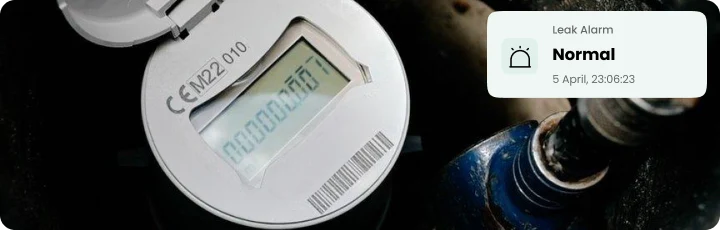 Disrupt-X IoT smart water meter with digital flow telemetry and automated leak alarm detection